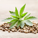 Fordele ved fuldspektrum hamp olie og CBD